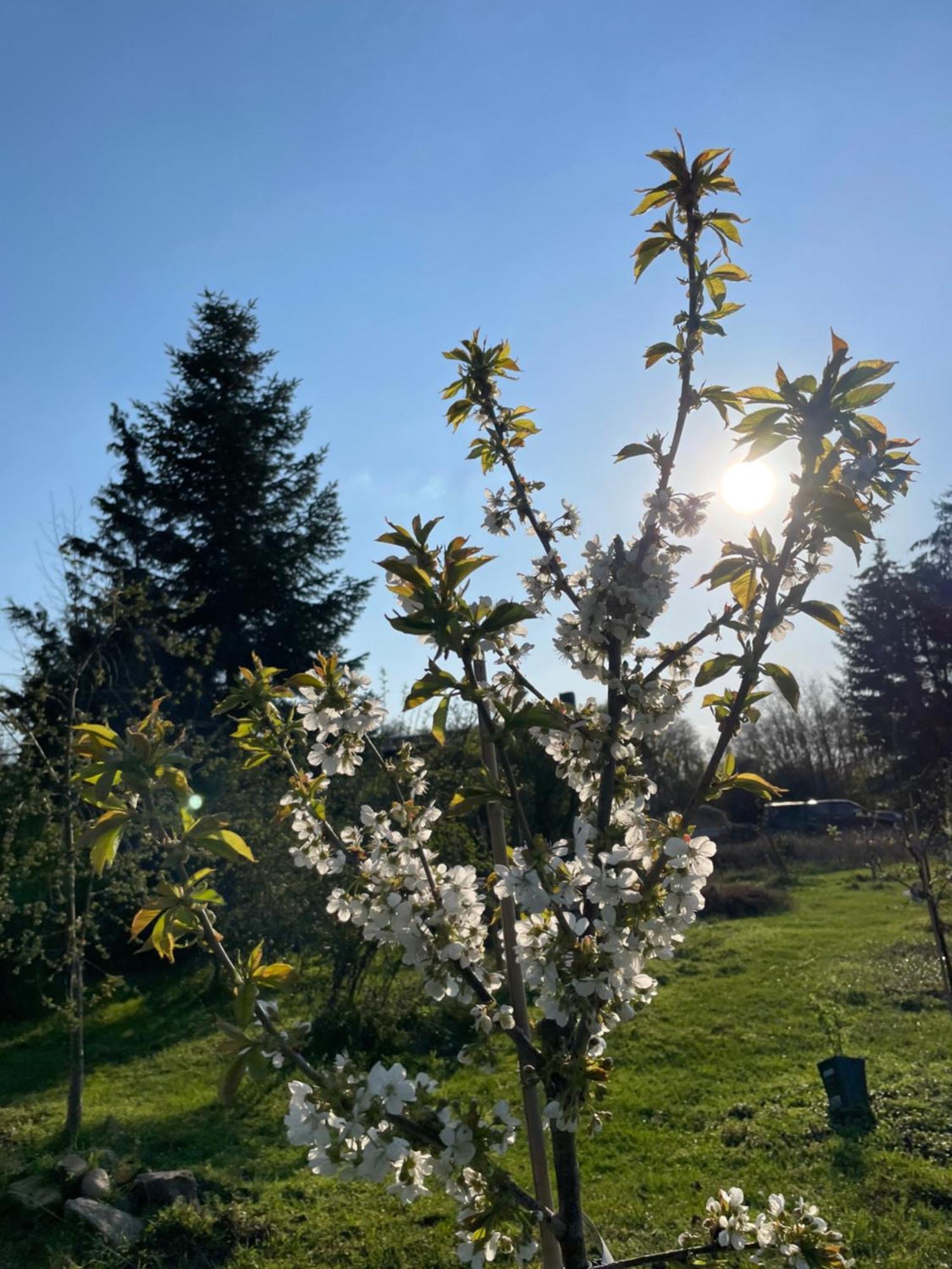 Groß Köris Eichenhof Hotel Garni מראה חיצוני תמונה